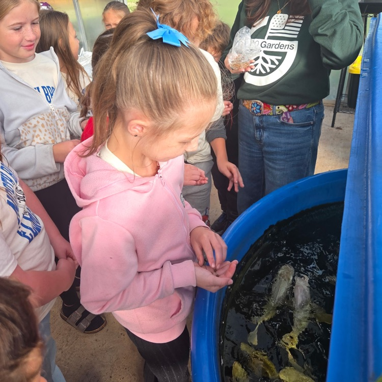 Several children gather around a large blue fish tank with fish swimming inside. A girl in a pink hoodie looks closely at the fish.