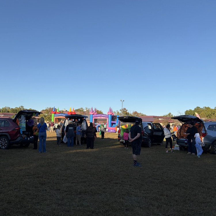 A grassy area with cars parked in a row and people walking. One vehicle has its trunk open.