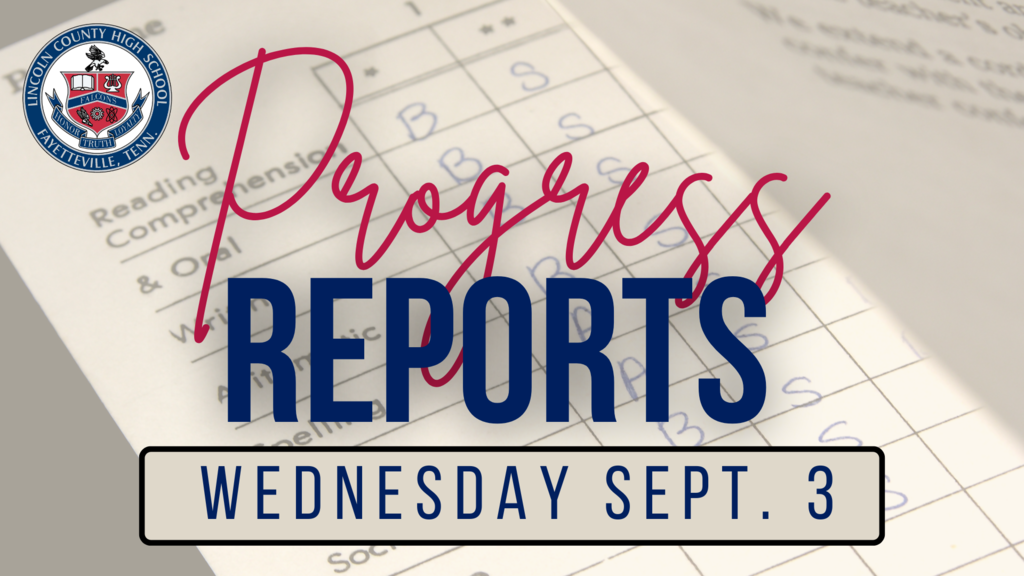 Progress REports