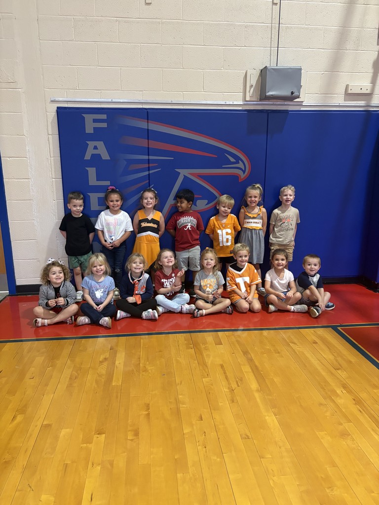 Mrs. Nikki's football fans!