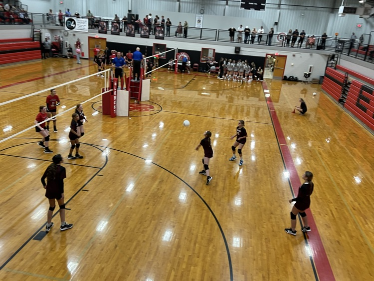 vb