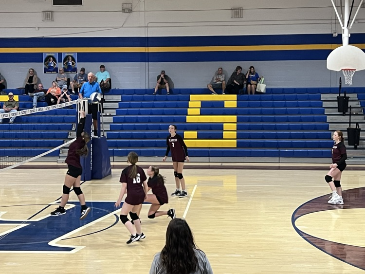 vb