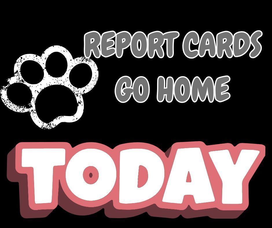 report cards 