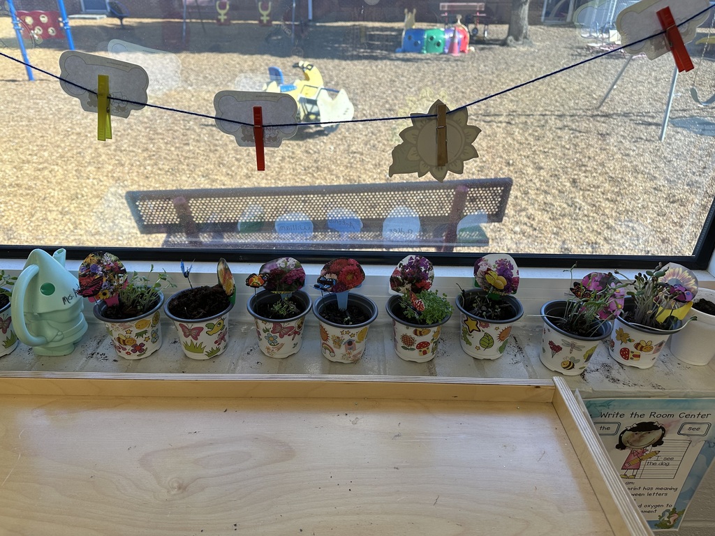 Learning about Flowers and Watching Our Flowers Grow 🌹 🌺 💐