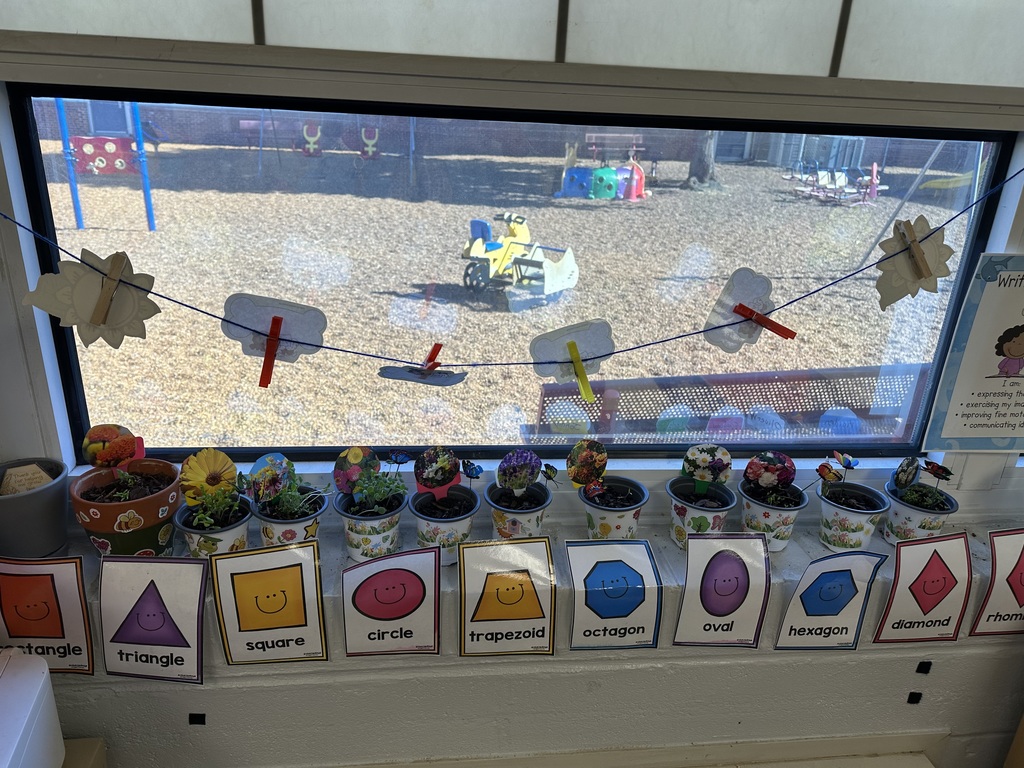 Learning about Flowers and Watching Our Flowers Grow 🌹 🌺 💐