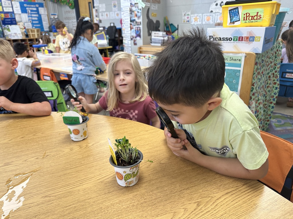 🌱🪴Watching and recording our plants 🌱 🪴
