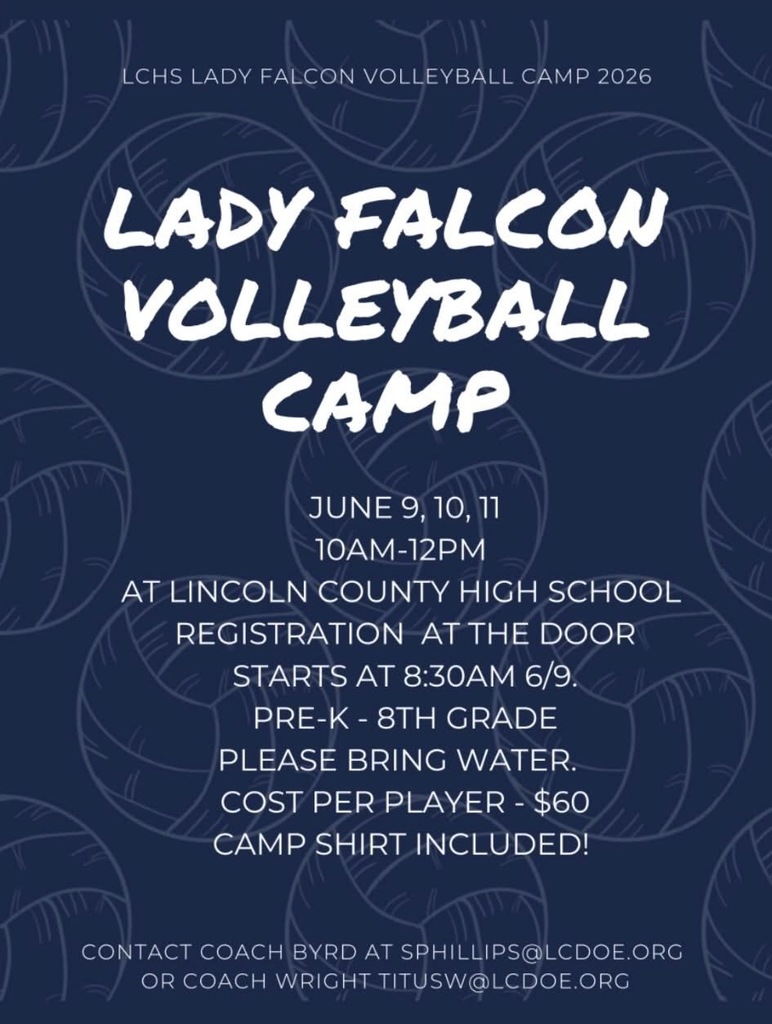 Volleyball Camp
