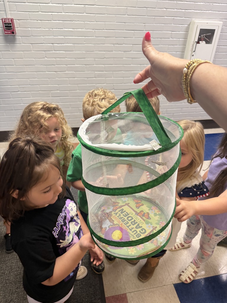 Prek Butterfly release