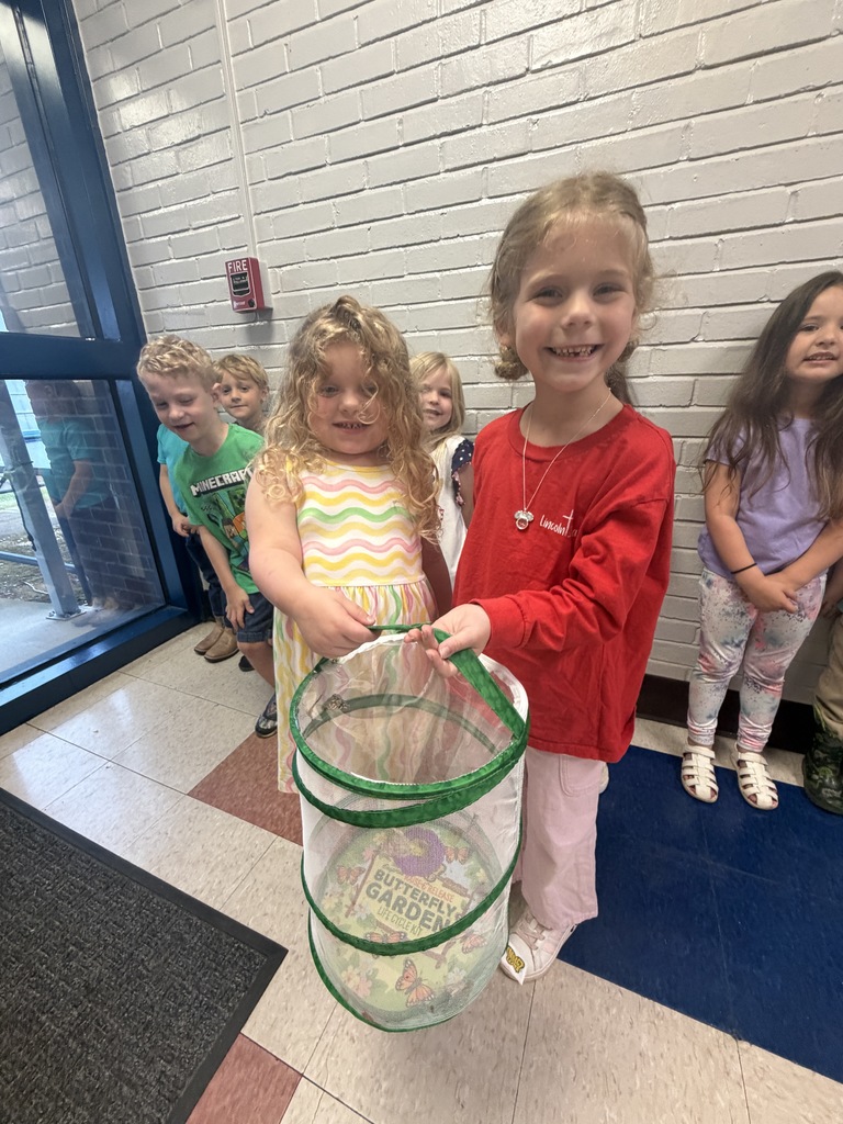 Prek Butterfly release