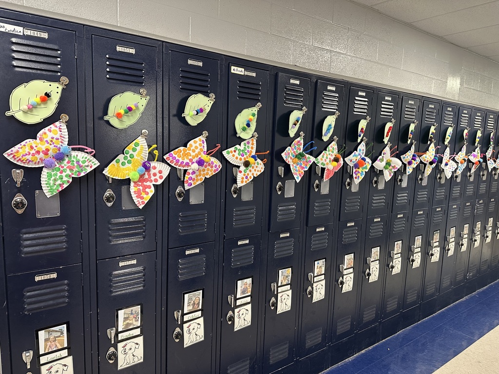 🐛The Lifecycle of a Butterfly 🦋