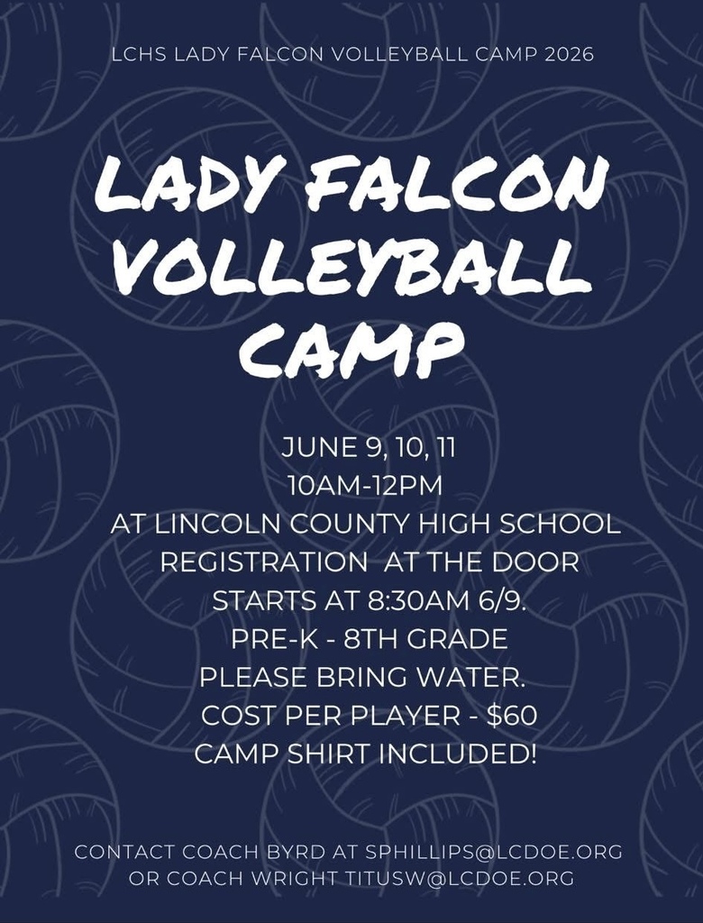 Volleyball Camp