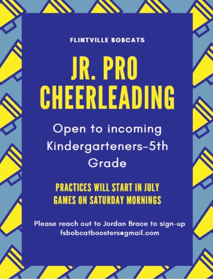 Jr Pro Football Cheerleading information