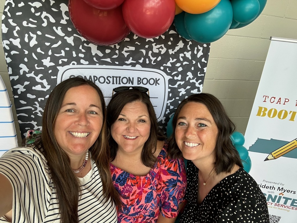Summer PD: TCAP Writing Bootcamp!