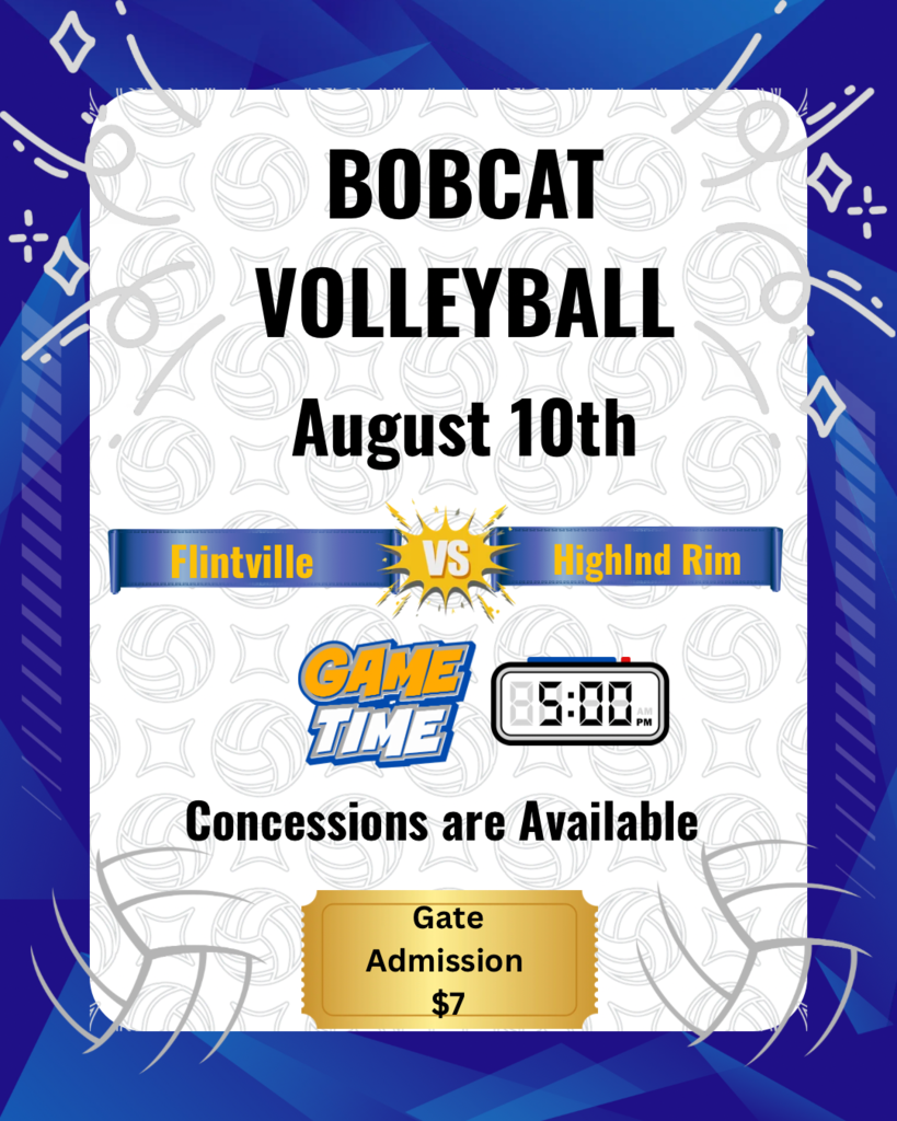Volleyball game