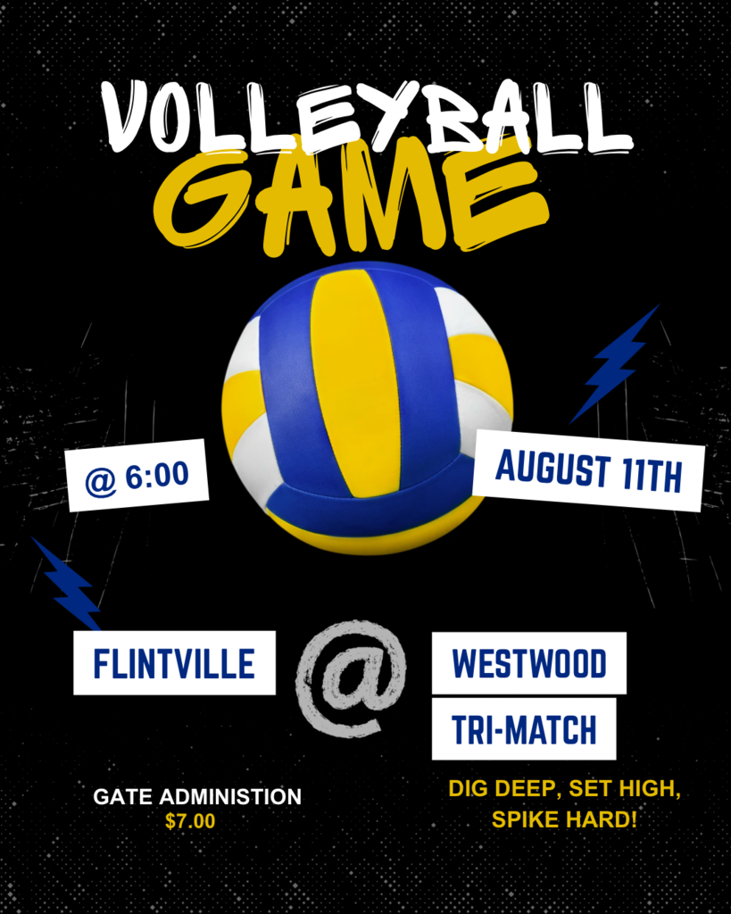 Volleyball game