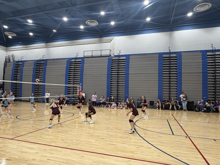 Volleyball