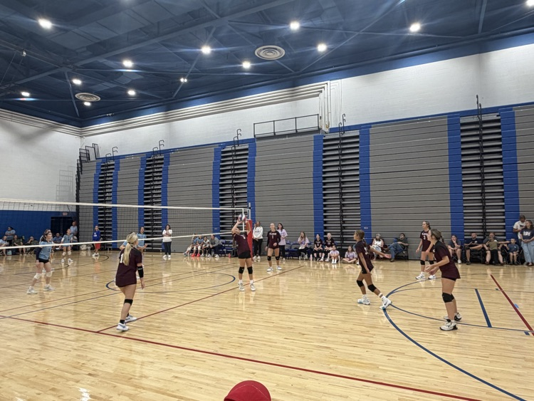 Volleyball