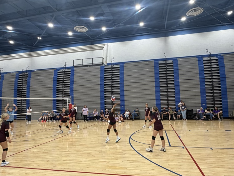 Volleyball