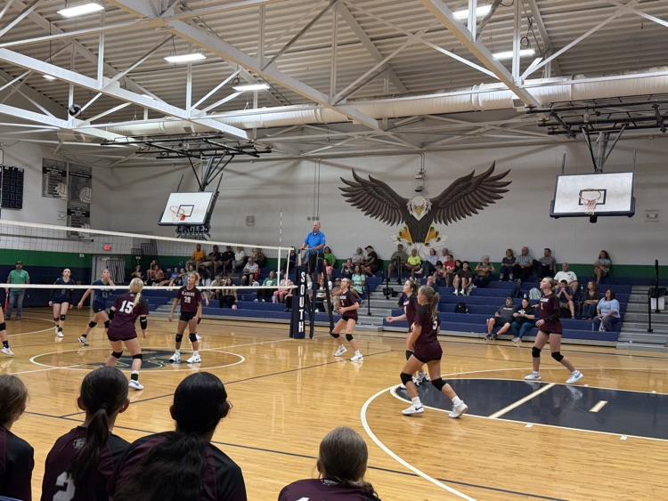 Volleyball 