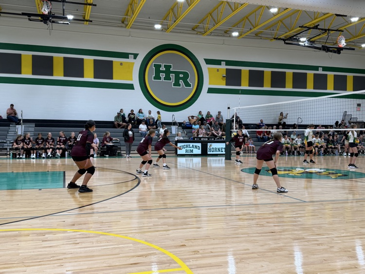 Volleyball 