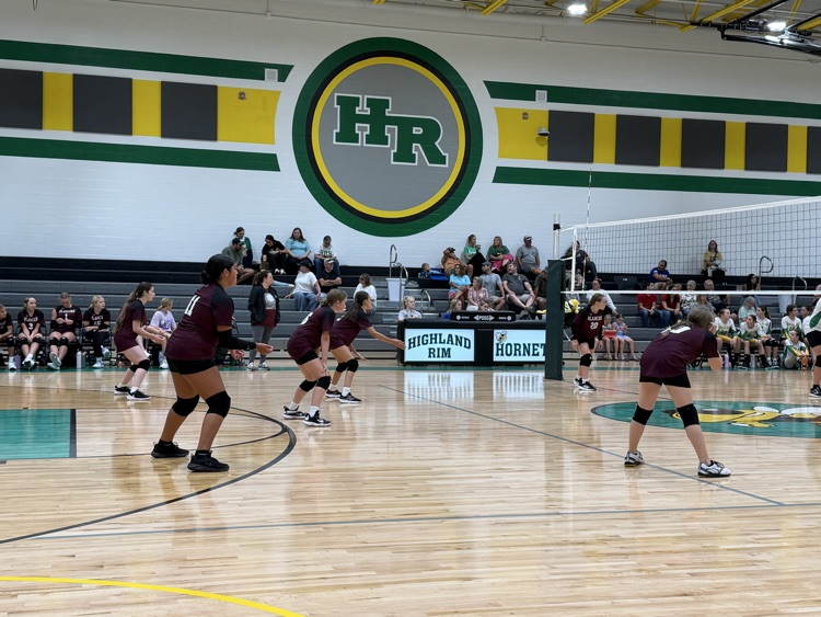 Volleyball 