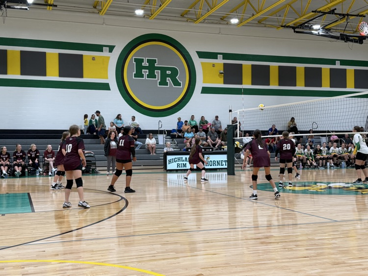Volleyball 