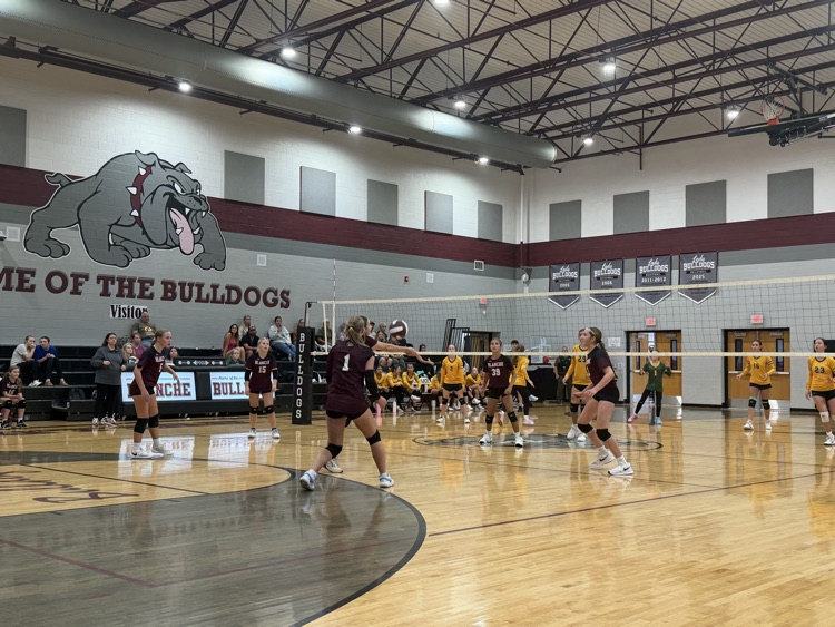 Volleyball 