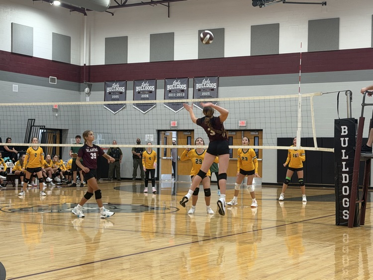 Volleyball 