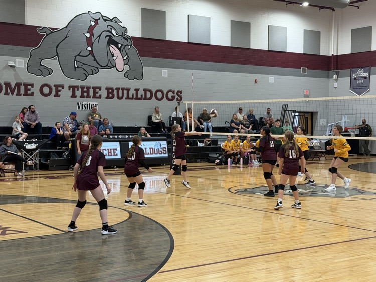 Volleyball 