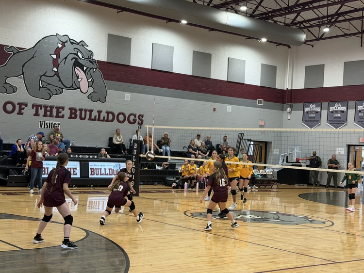 Volleyball 