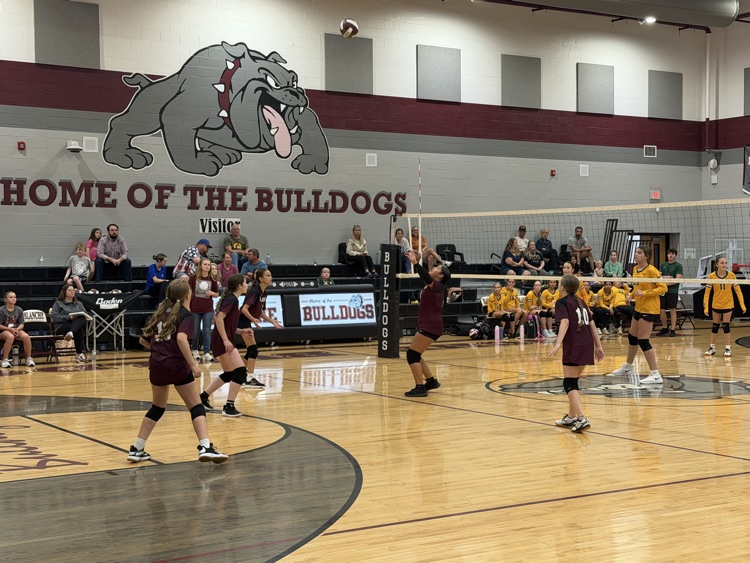 Volleyball 