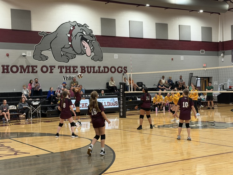 Volleyball 