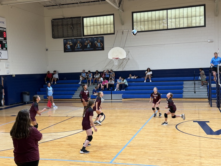 Volleyball 