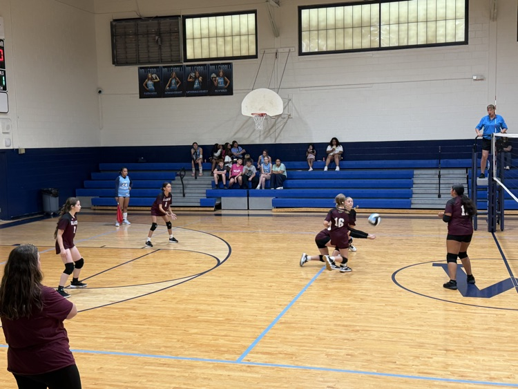 Volleyball 