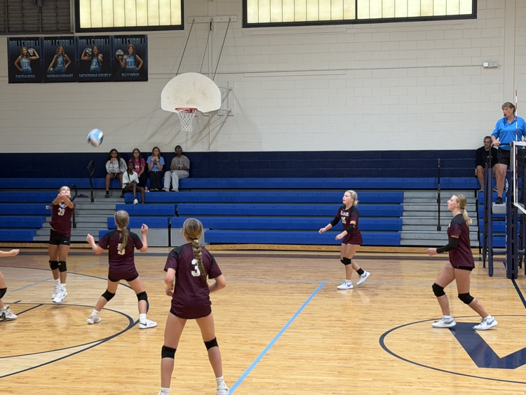 Volleyball 