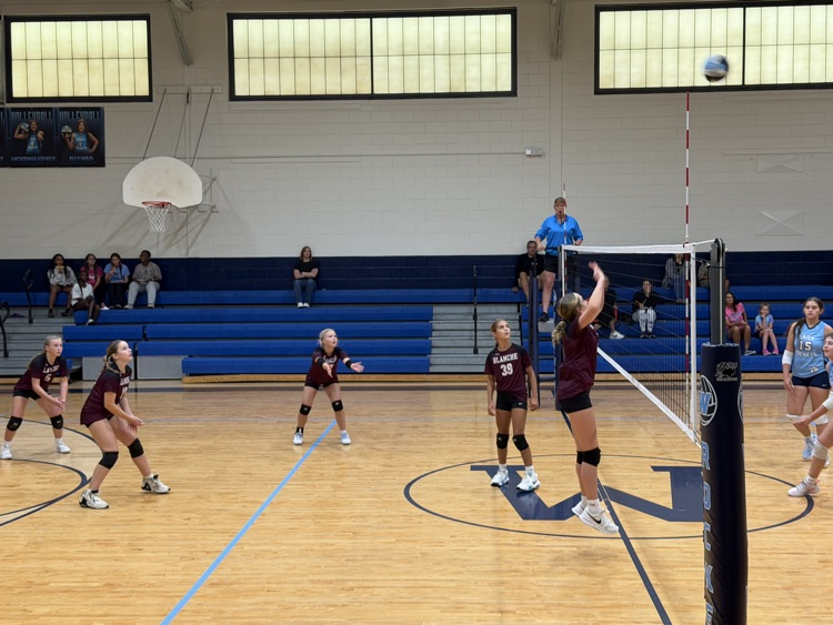 Volleyball 