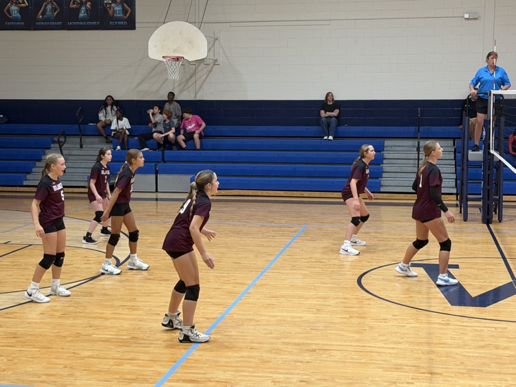 Volleyball