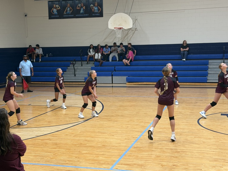 Volleyball