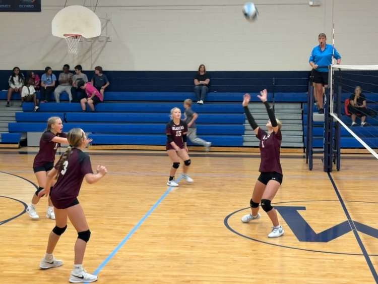 Volleyball