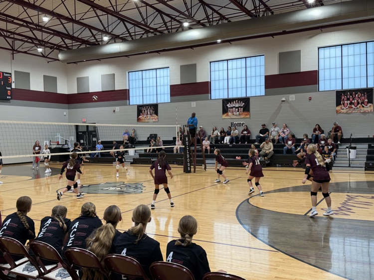 Volleyball 