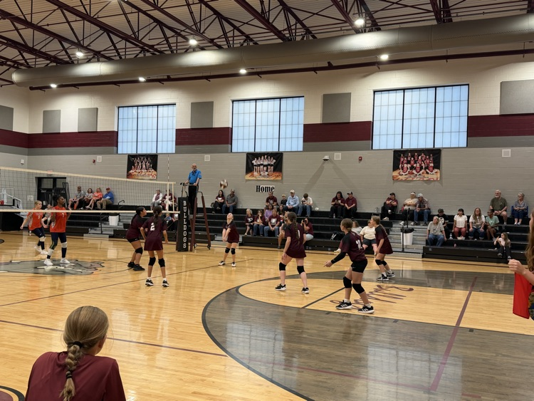 Volleyball 