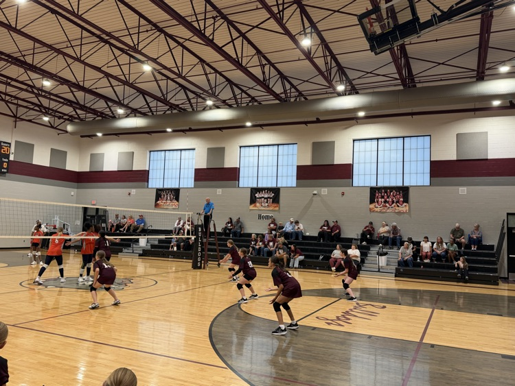 Volleyball 