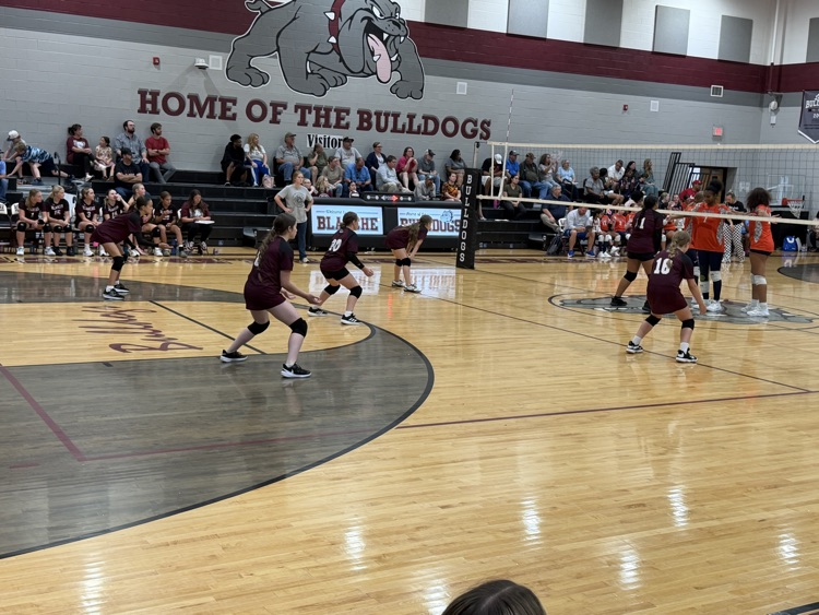 Volleyball 
