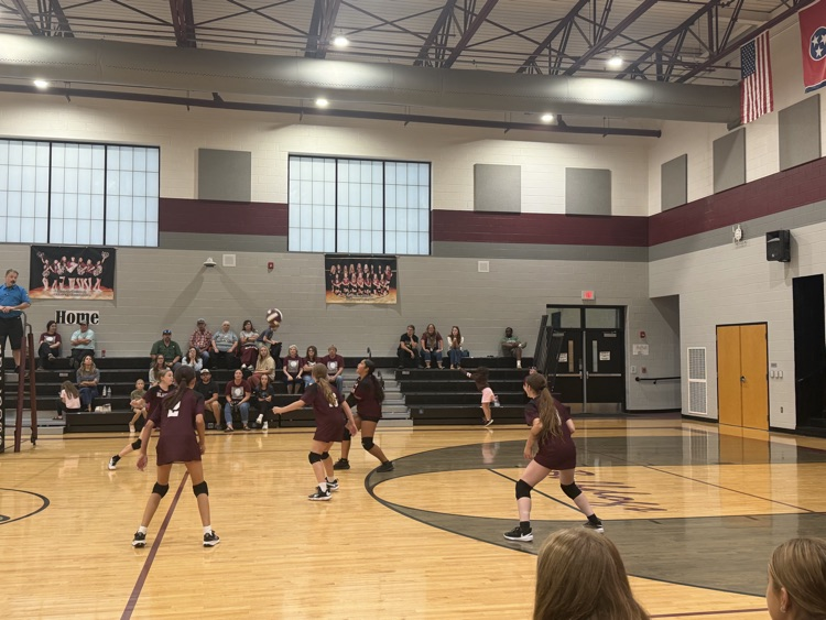 JV VB