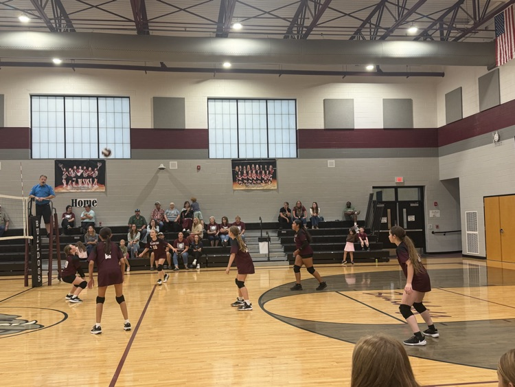 JV VB