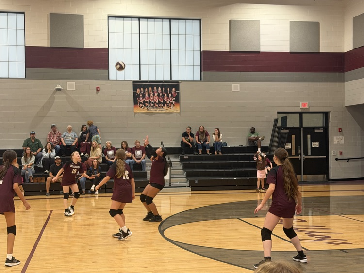 JV VB