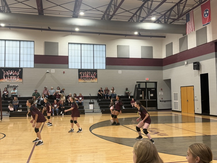 JV VB
