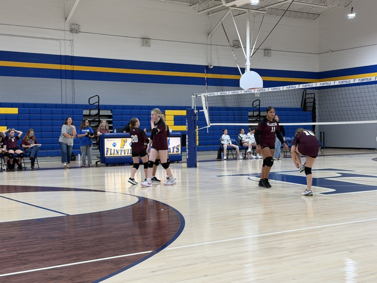 VB
