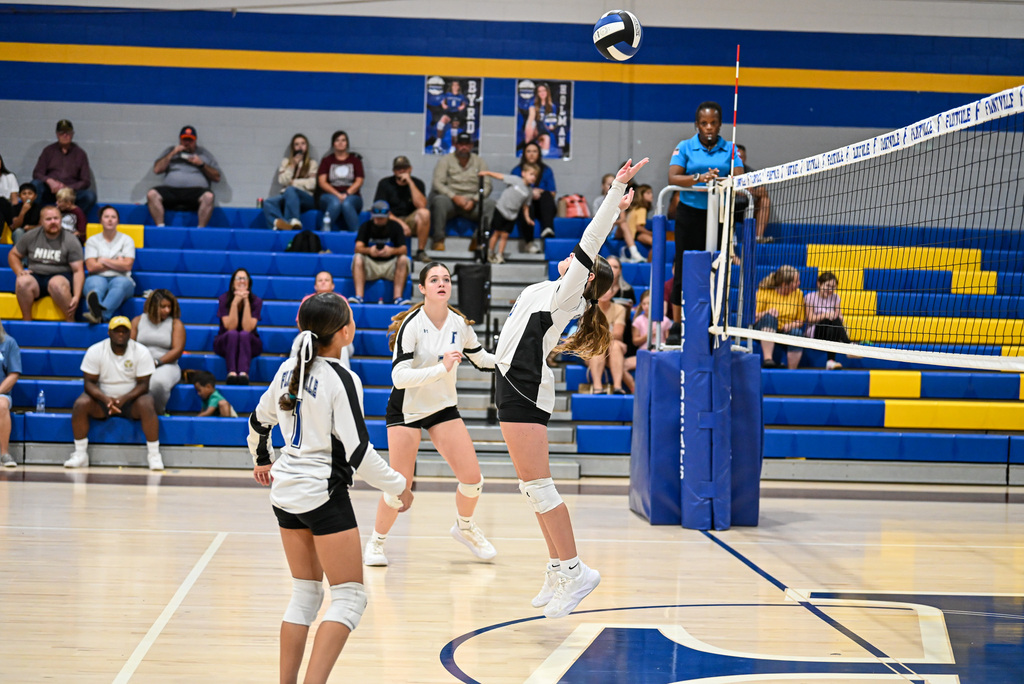 Volleyball Game