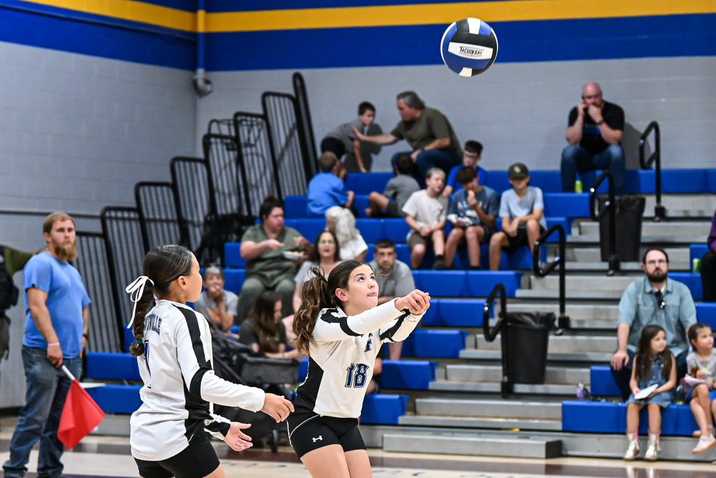 Volleyball Game
